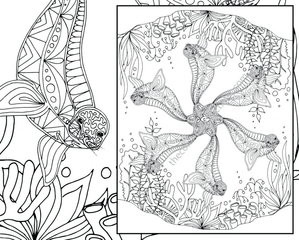 1024x821 Coloring Pages ~ Seal Coloring Pages Zoom Harp Seal Coloring Pages