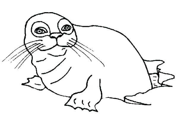 600x452 Harp Coloring Page