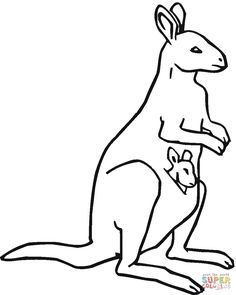 236x295 Printable Coloring Page Of Harp Seal For Kids Coloring Pages