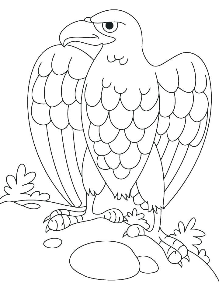 720x955 Eagle Coloring Page Printable Pictures Of Eagles Bald Eagle