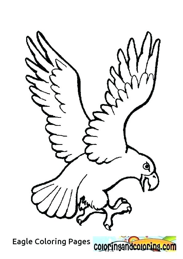 595x842 Harpy Eagle Coloring Page Eagle Color Page Harpy Eagle Coloring