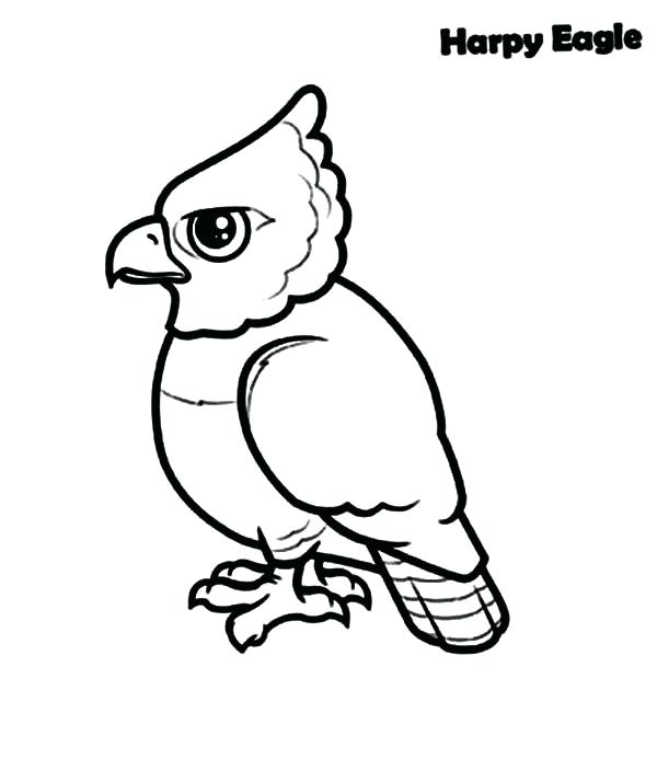 600x693 Harpy Eagle Coloring Page Harpy Eagle Drawing Harpy Eagle Coloring