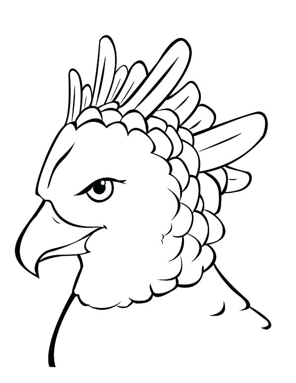 600x776 Harpy Eagle Coloring Page Harpy Eagle Most Powerful Bird Coloring