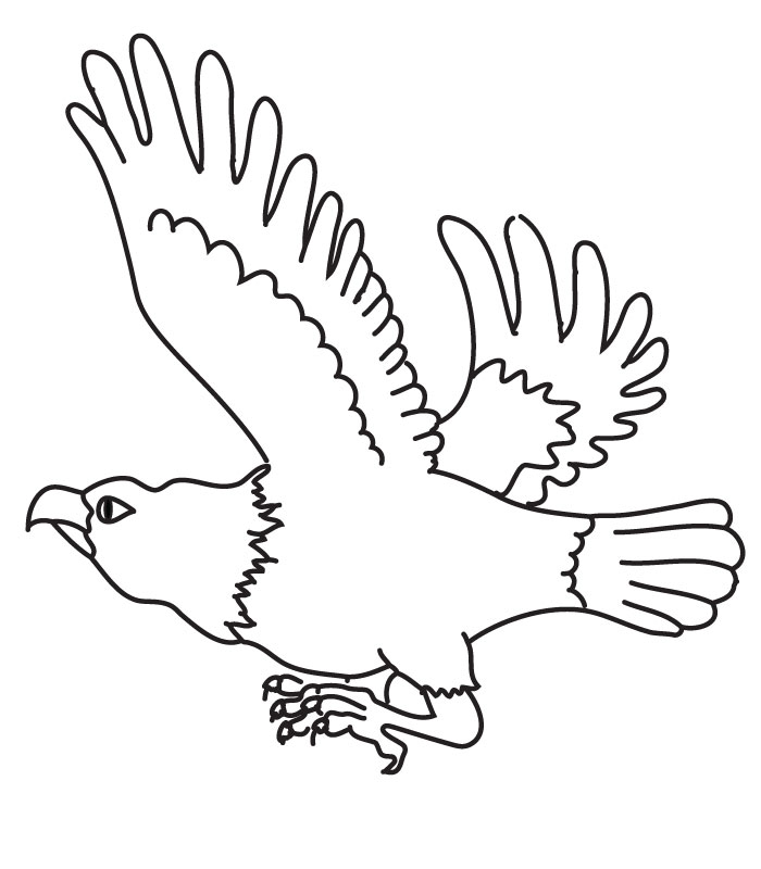700x800 Harpy Eagle Coloring Page Many Interesting Cliparts