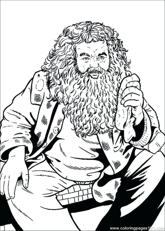 650x910 Harry Potter Coloring Page Coloring Pages Of Harry Potter And