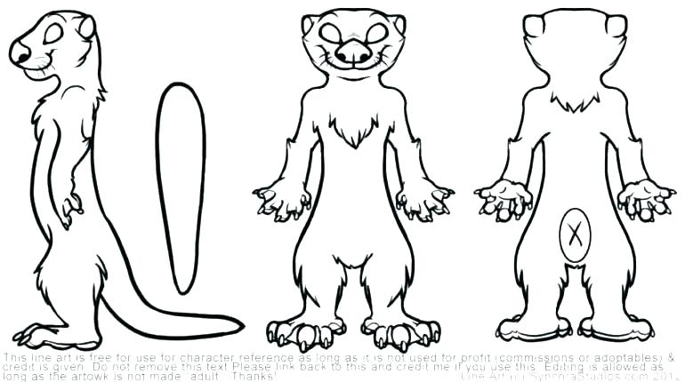 770x430 Sea Otter Coloring Page Harry Potter Coloring Pages For Kids River