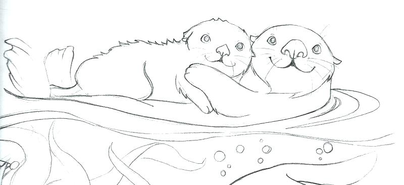 800x366 Otter Coloring Pages Sea Otter Coloring Page Harry Potter Coloring