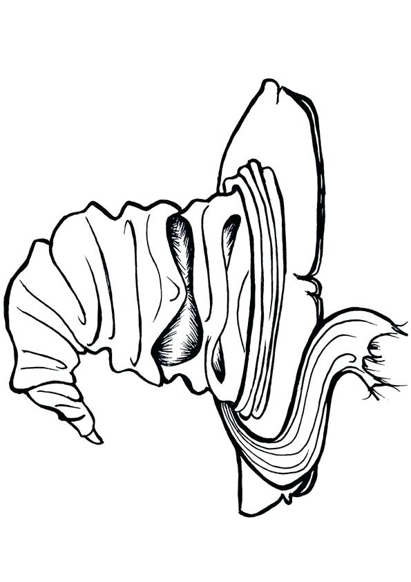595x842 Harry Potter Coloring Page Beautiful Harry Potter Coloring Pages