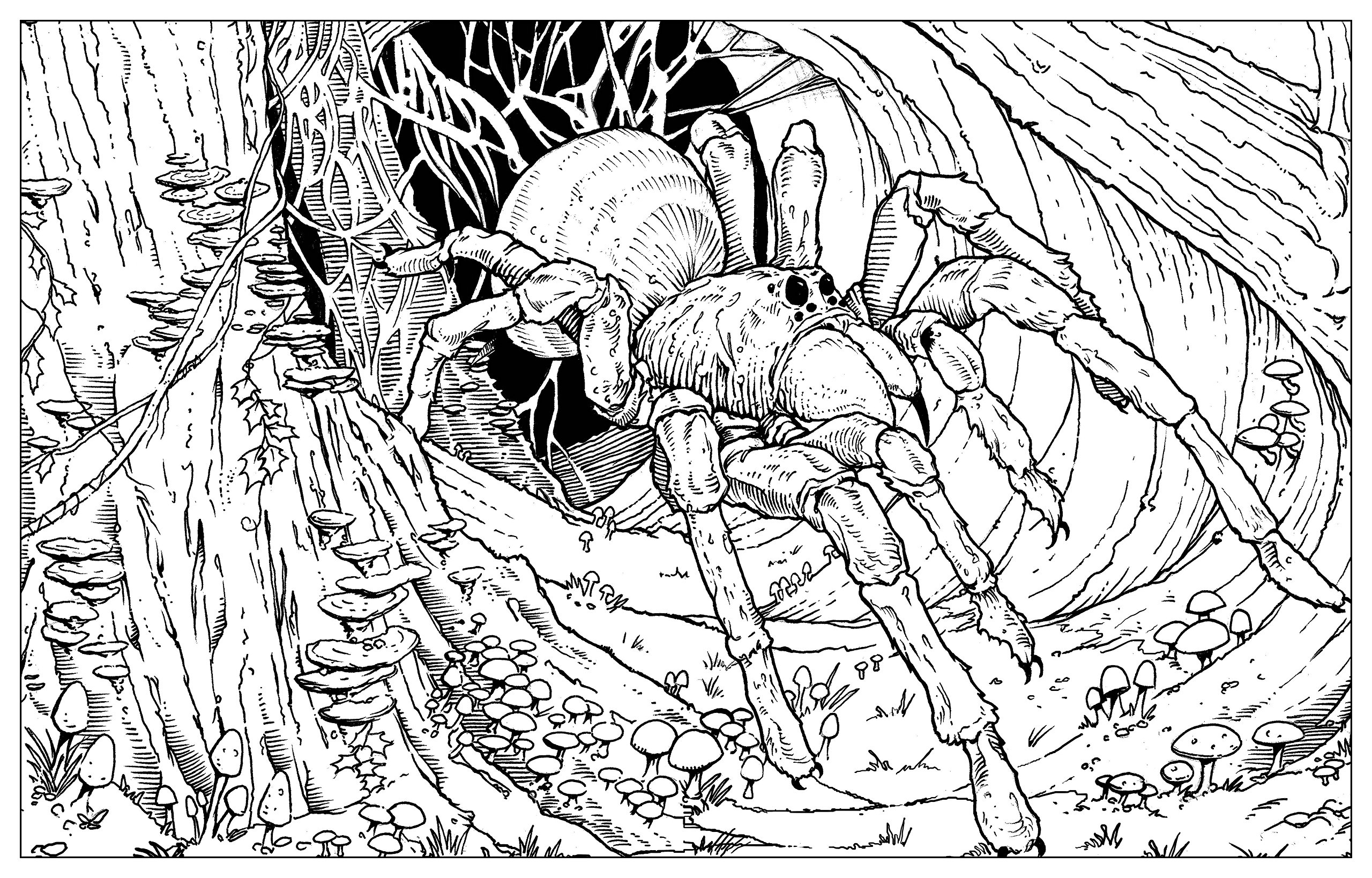 2560x1638 Harry Potter Magical Creatures Colouring Book 2 Amazon Download