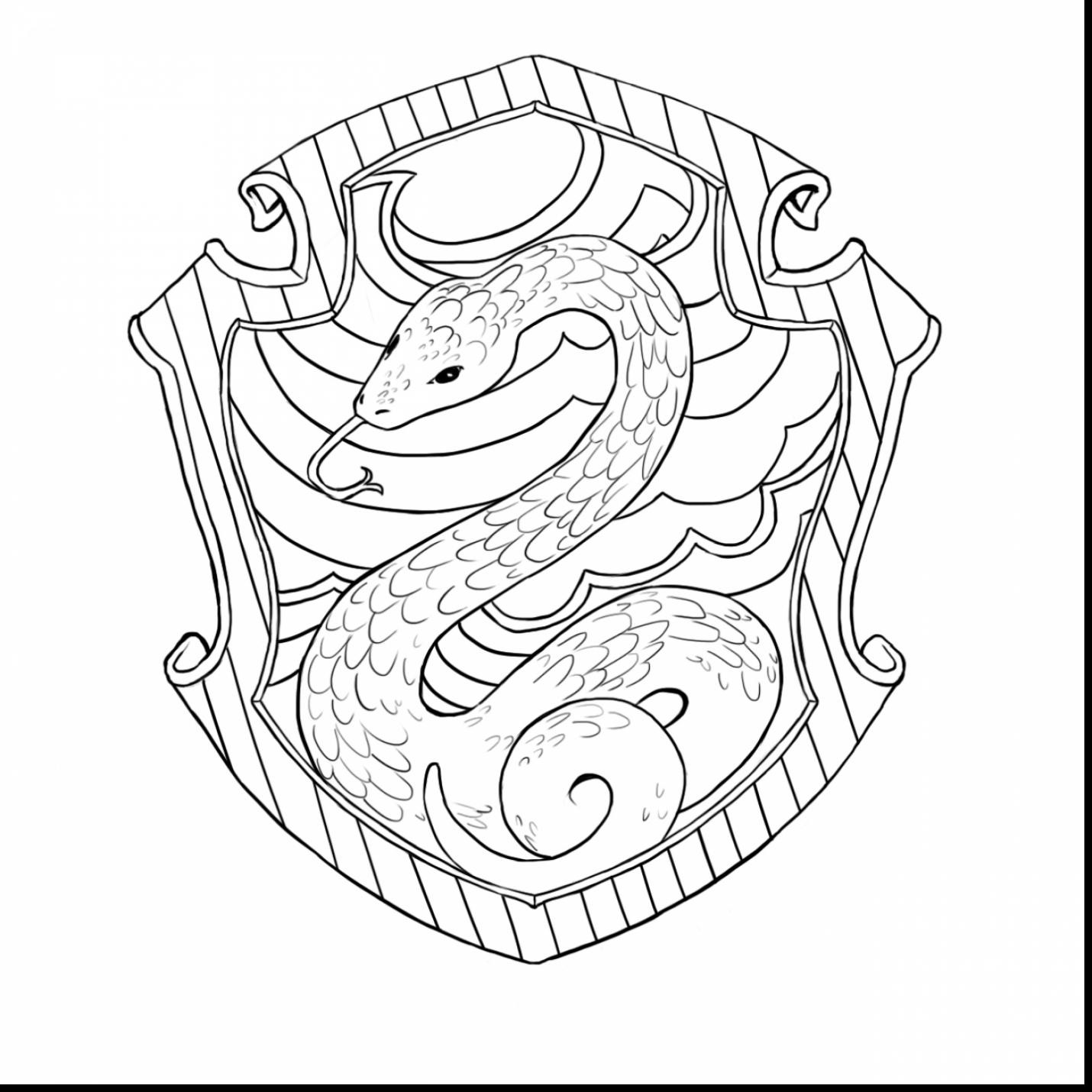 1430x1430 Best Of Harry Potter Fluffy Coloring Pages