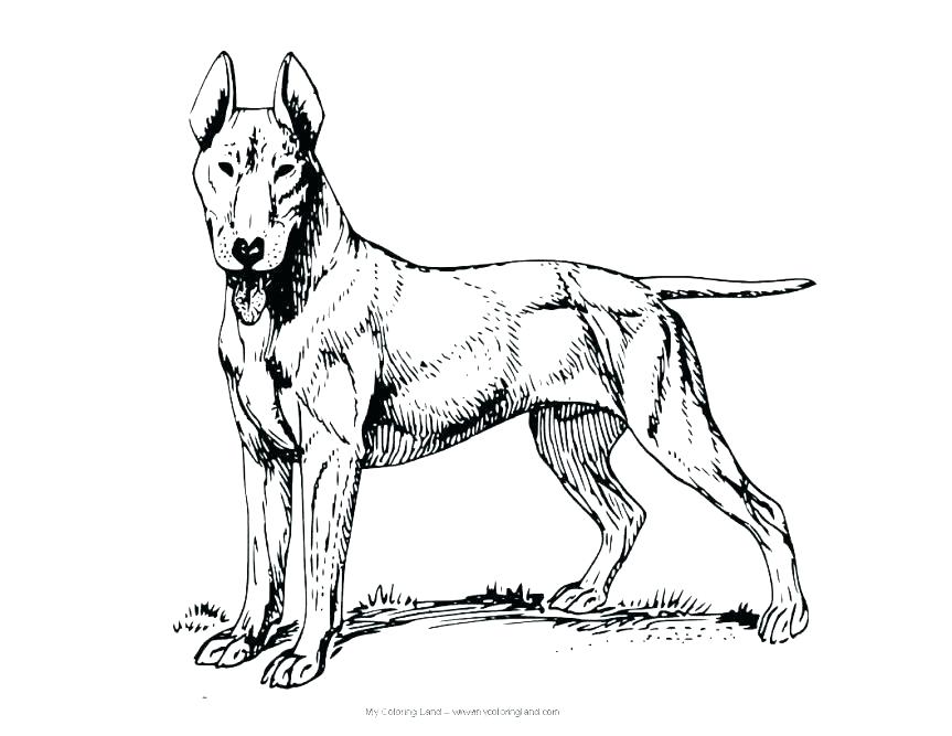 863x667 Coloring Harry The Dirty Dog Coloring Page Pages Small Eggs