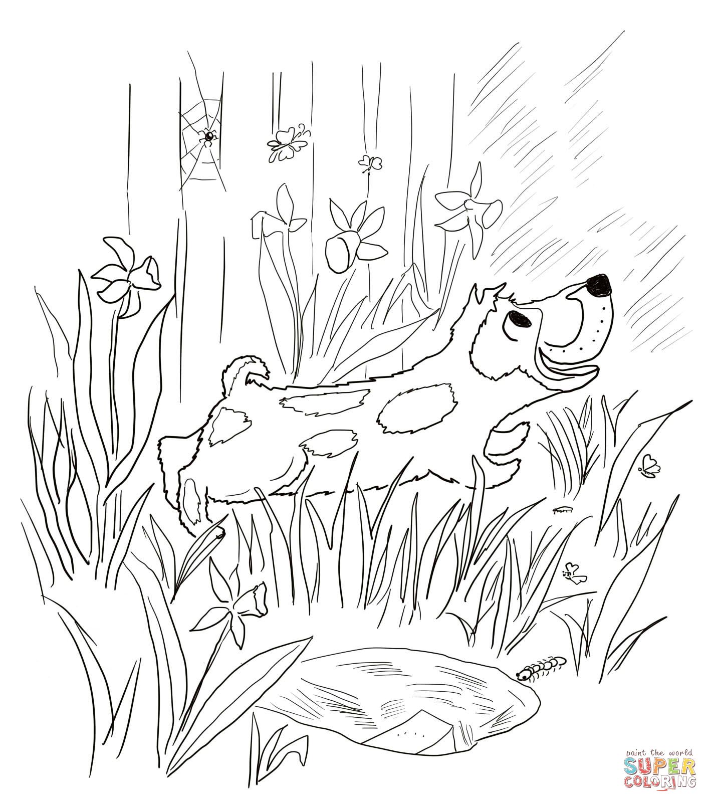 1413x1600 Harry The Dirty Dog Coloring Sheet For Kids Retelling And Story