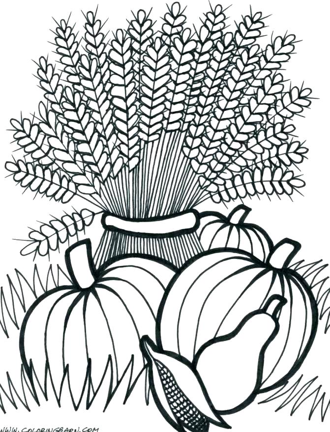 671x879 Harvest Coloring Pages Your Creations You Have Colored This