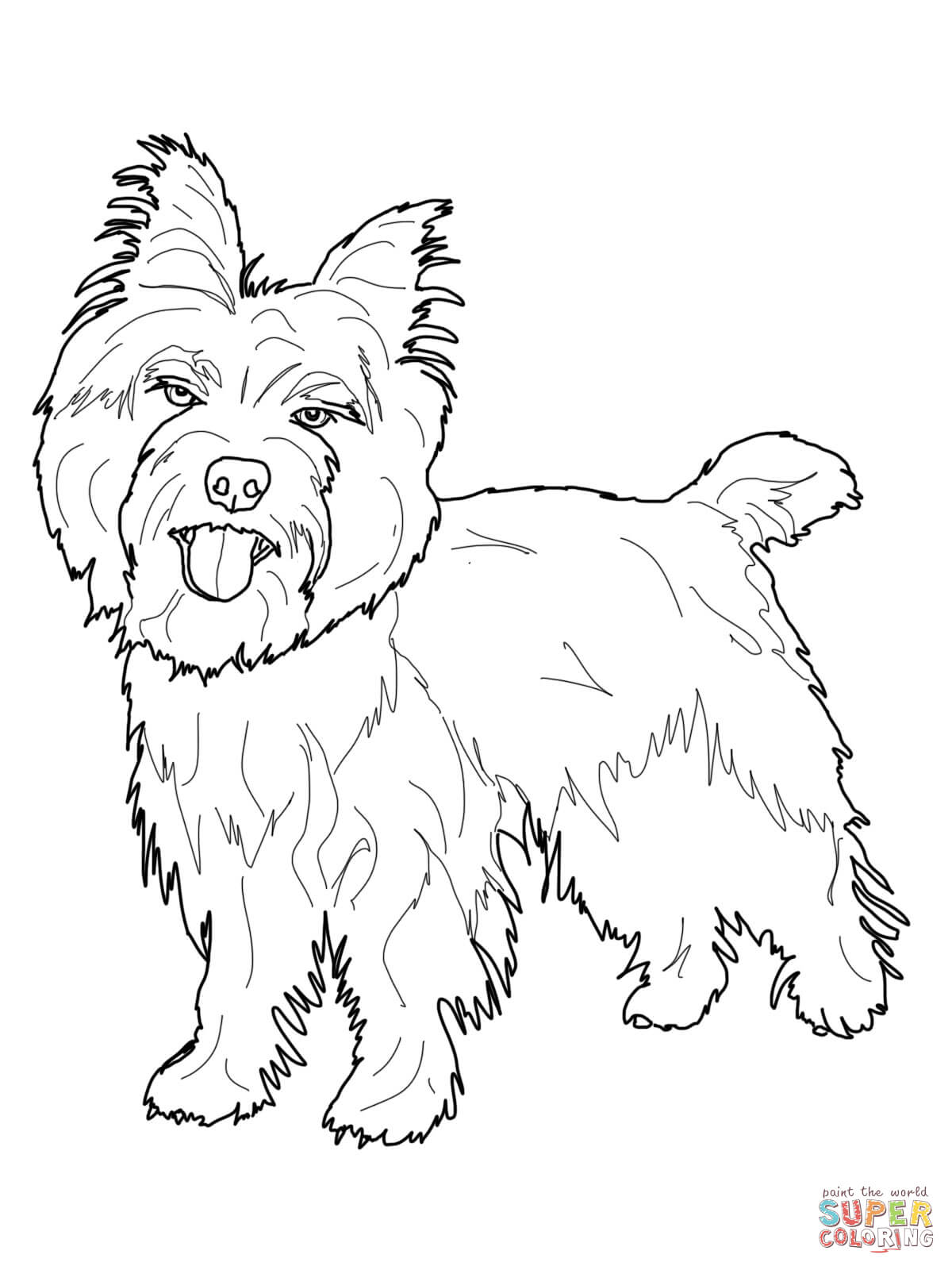 1200x1600 Cairn Terrier Coloring Pages