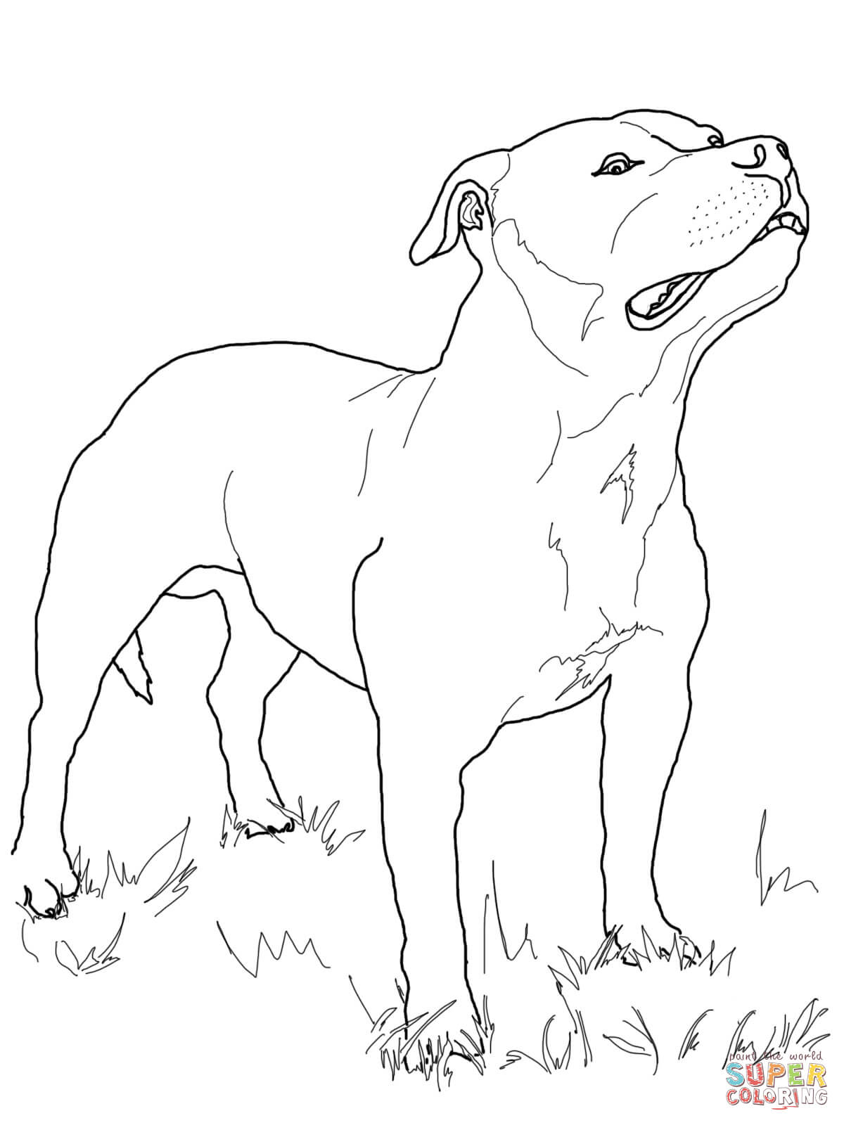 1200x1600 Coloring Free Printable Boston Terrier Coloring Pages As Well As