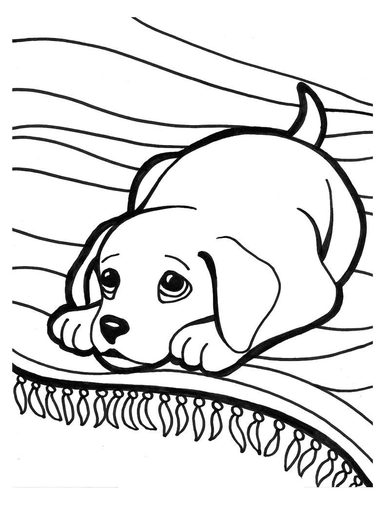 800x1044 Latest Puppy Coloring Pages Printable For Backgrounds