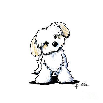 350x350 Quizzical Havanese By Kim Niles Birthday Card Ideas