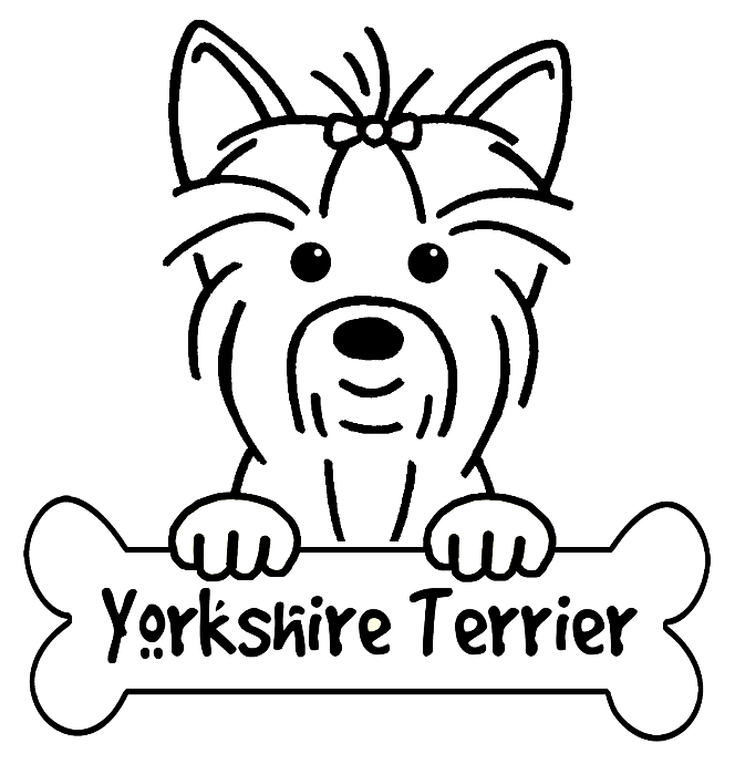 664x690 The Best Havanese Animal Coloring Pages Image Collections