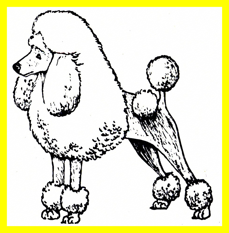 973x990 Awesome Havanese Coloring Page Printable Of Maltese Puppy Trend