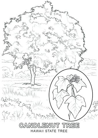 340x480 Hawaii Coloring Pages Coloring Pages Concept Girl And Umbrella