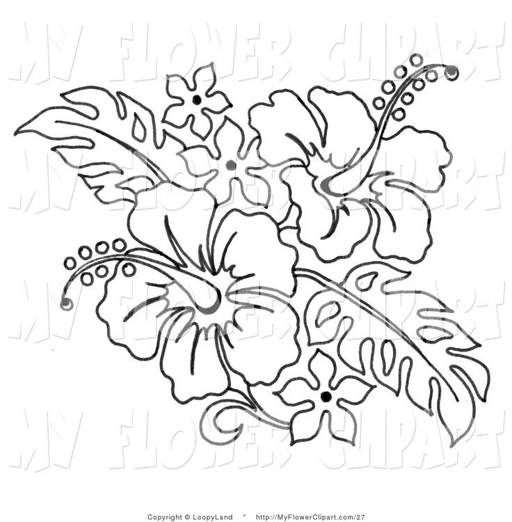 Hawaiian Flower Coloring Page