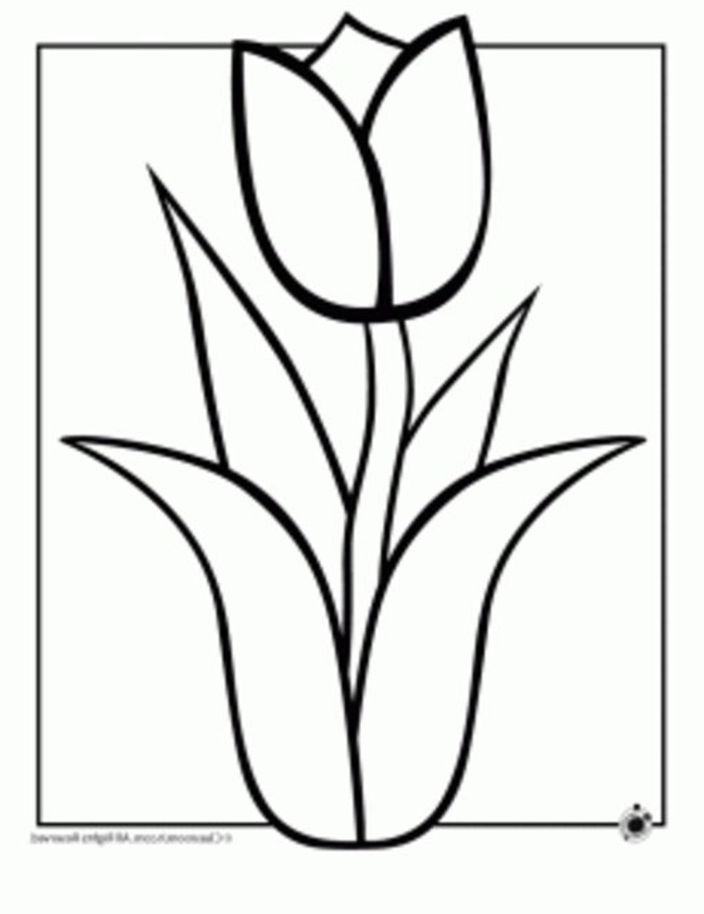 1000x1298 Hawaiian Flowers Drawings Easy