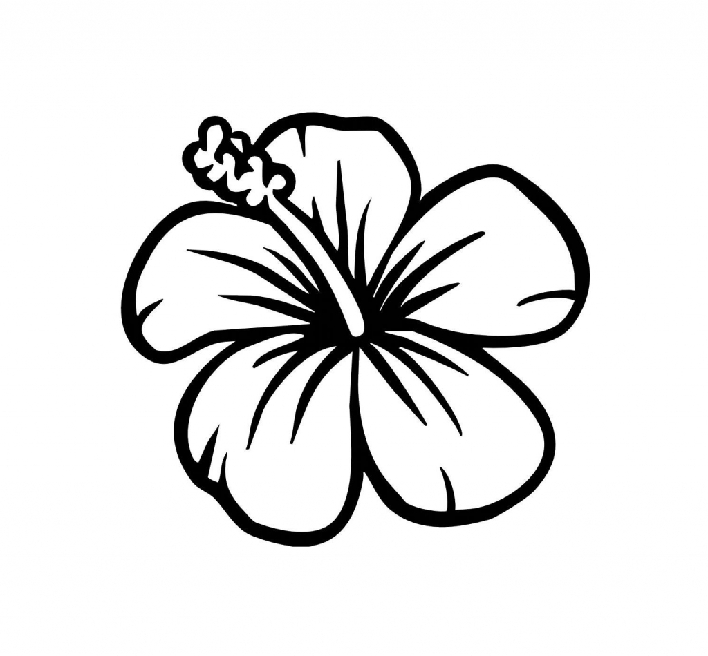 1024x950 Easy To Draw Hawaiian Flowers Hawaiian Flower Drawing 12 Pics