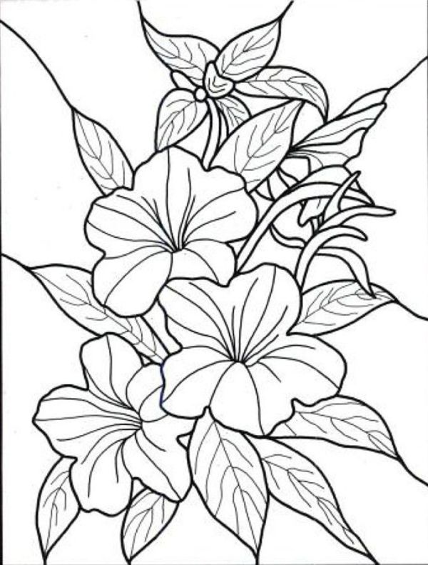 600x791 Exotic Flower Coloring Pages Hawaiian Flower Colouring Pages