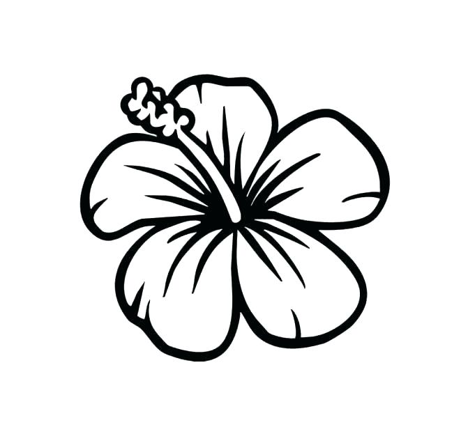 671x623 Good Flower Coloring Pages Free Image Hibiscus Page Hawthorn Good