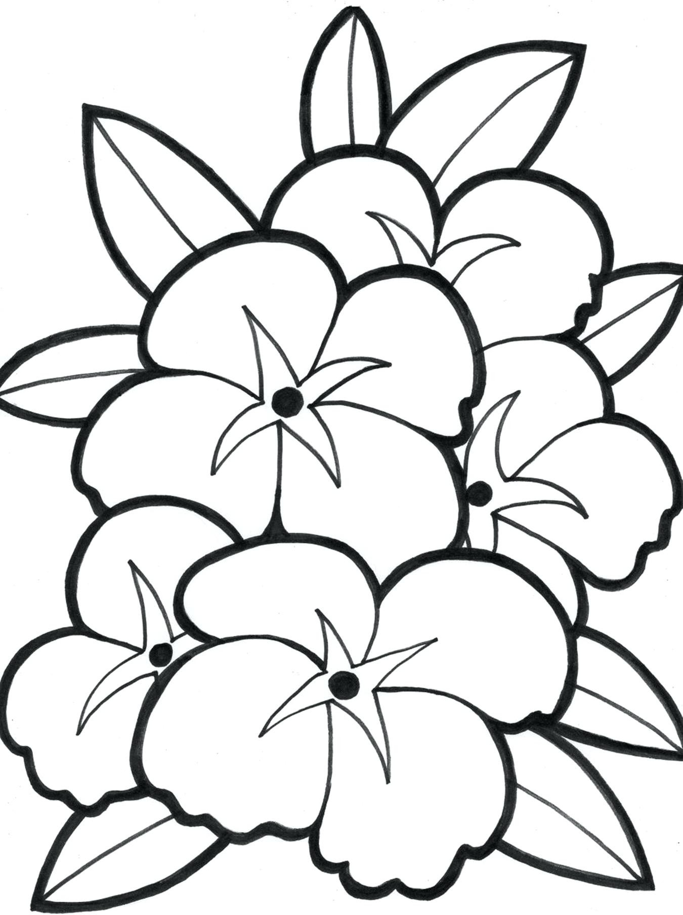 1350x1808 Hawaiian Flowers Coloring Pages 9 1147 Incredible Flower Mosm
