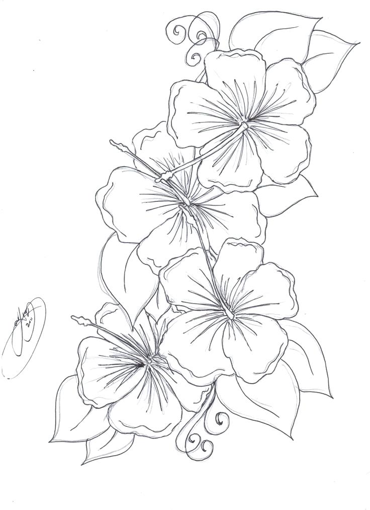 736x1013 Beautiful Hawaiian Flower Coloring Pages For Flower Color Pages 84