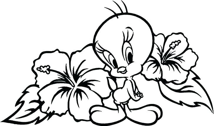 728x429 Hibiscus Flower Picture Coloring Page Color Free Hibiscus Flower