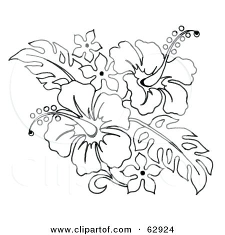 450x470 Printable Hibiscus Flower Coloring Pages Tattoo Coloring Pages