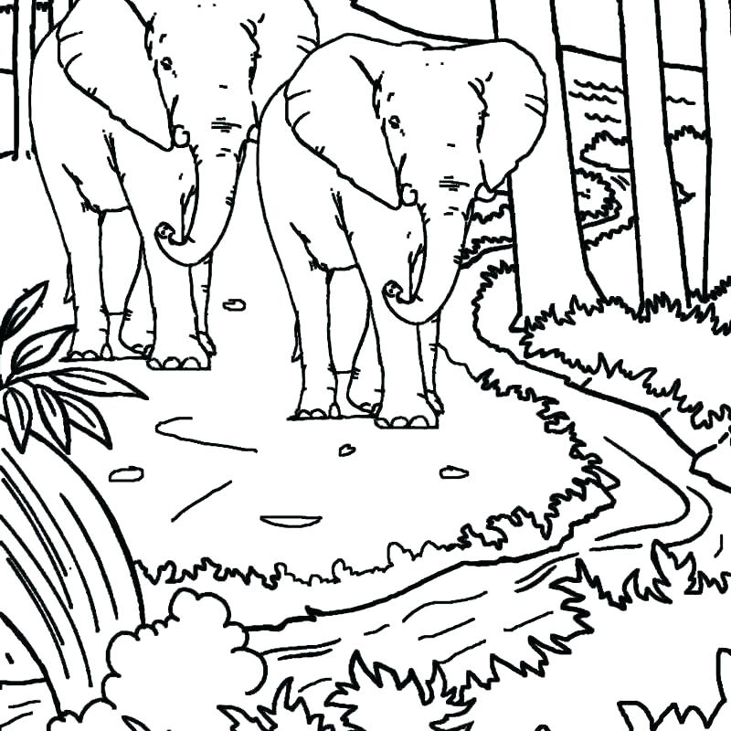 800x800 Hawaii Flag Coloring Page Coloring Page Coloring Page