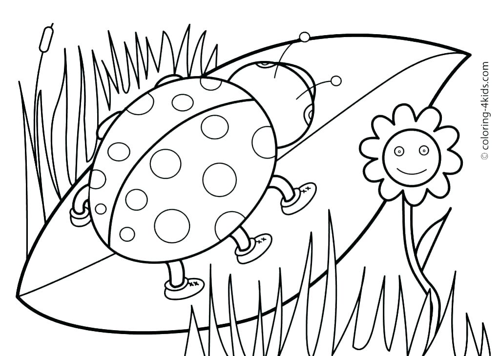 1024x730 Hawaiian Islands Coloring Pages State Tree Coloring Page Free