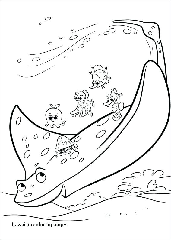 567x794 Hawaii Coloring Page Shippa.co