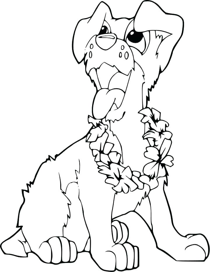 720x932 Luau Coloring Pages Hula Girl Coloring Page Hula Girl Coloring