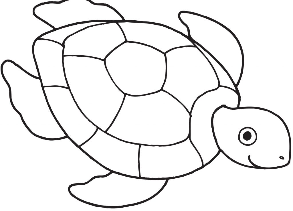 1024x737 Hawaiian Turtle Coloring Pages New Hawaiian Turtle Coloring Pages
