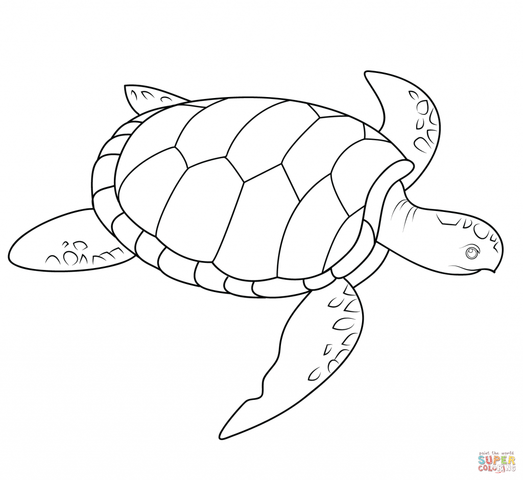 1024x940 Hawaiian Turtle Coloring Pages New Hawaiian Turtle Coloring Pages