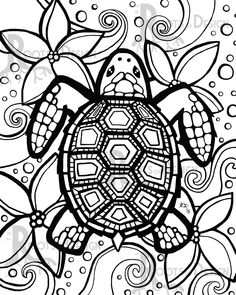 236x295 Sea Turtle Digital Download, Printable, Color Turtle, Digital