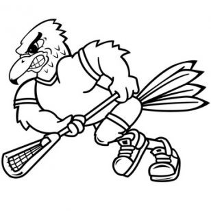 308x308 Awesome Book Hawks Coloring Pages