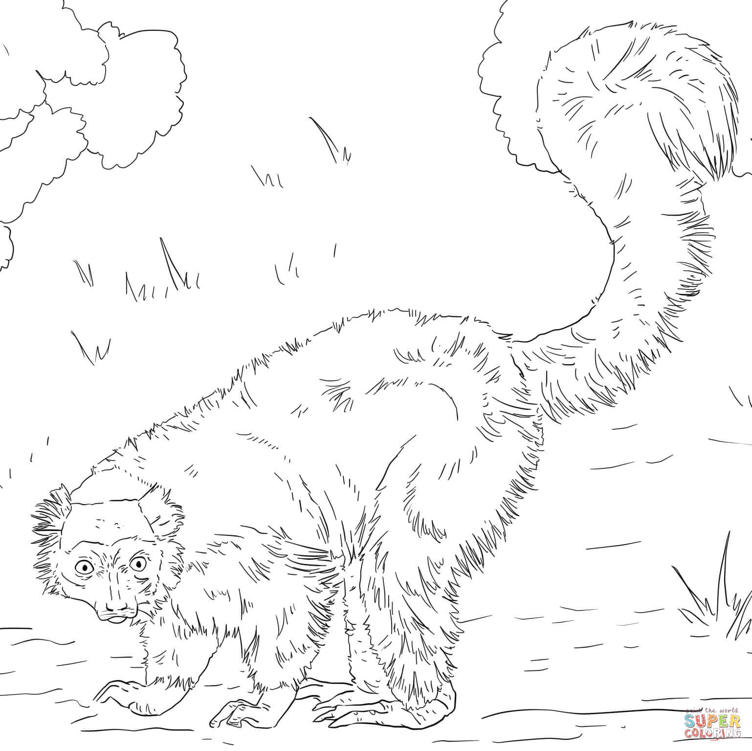 1538x1536 Coloring Red Tailed Hawk Coloring Page