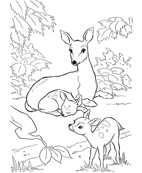 600x734 56 Best Party On The Farm! Images On Coloring Books