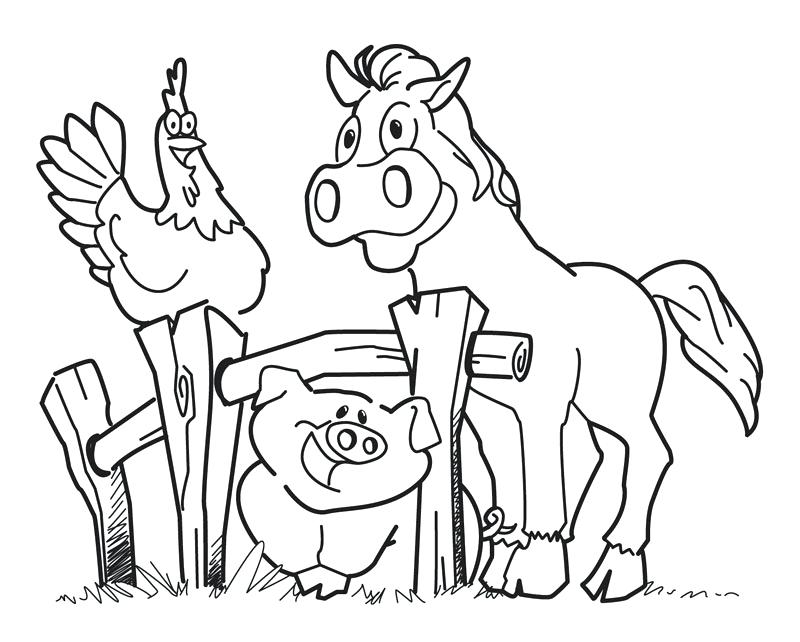 800x642 Hay Day Coloring Pages