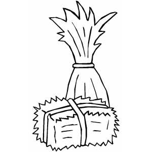 300x300 Cornstalk And Hay Coloring Page