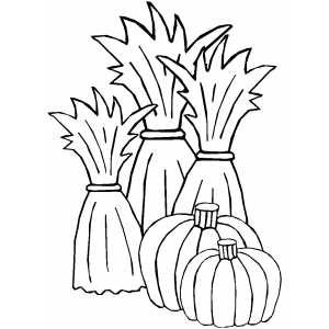 300x300 On The Farm Coloring Pages