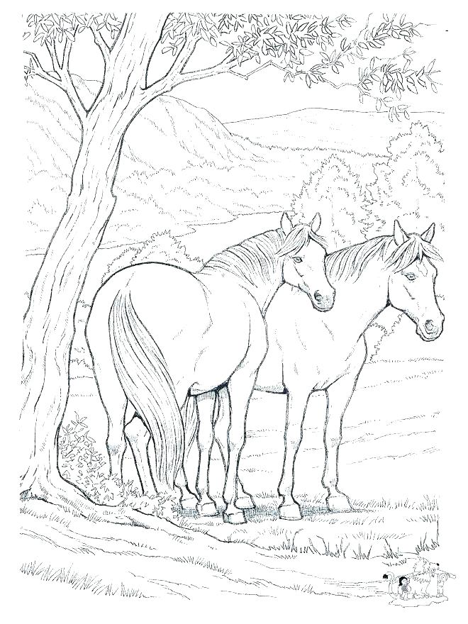 660x880 Coloring Pages Horses Horse Sheet Printable Headless Horseman