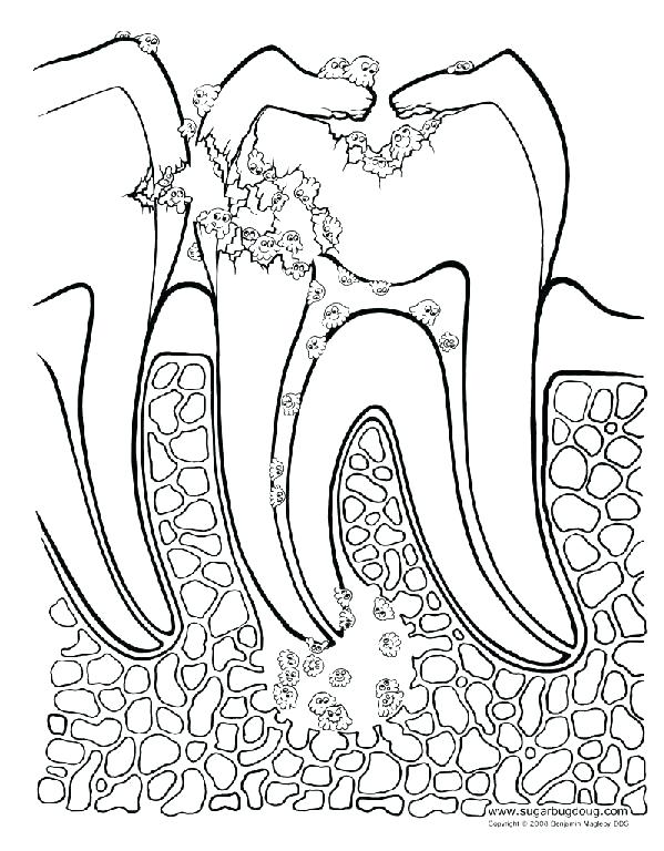 599x768 Healthy Coloring Pages Printable Coloring Pages Of Food Pyramid