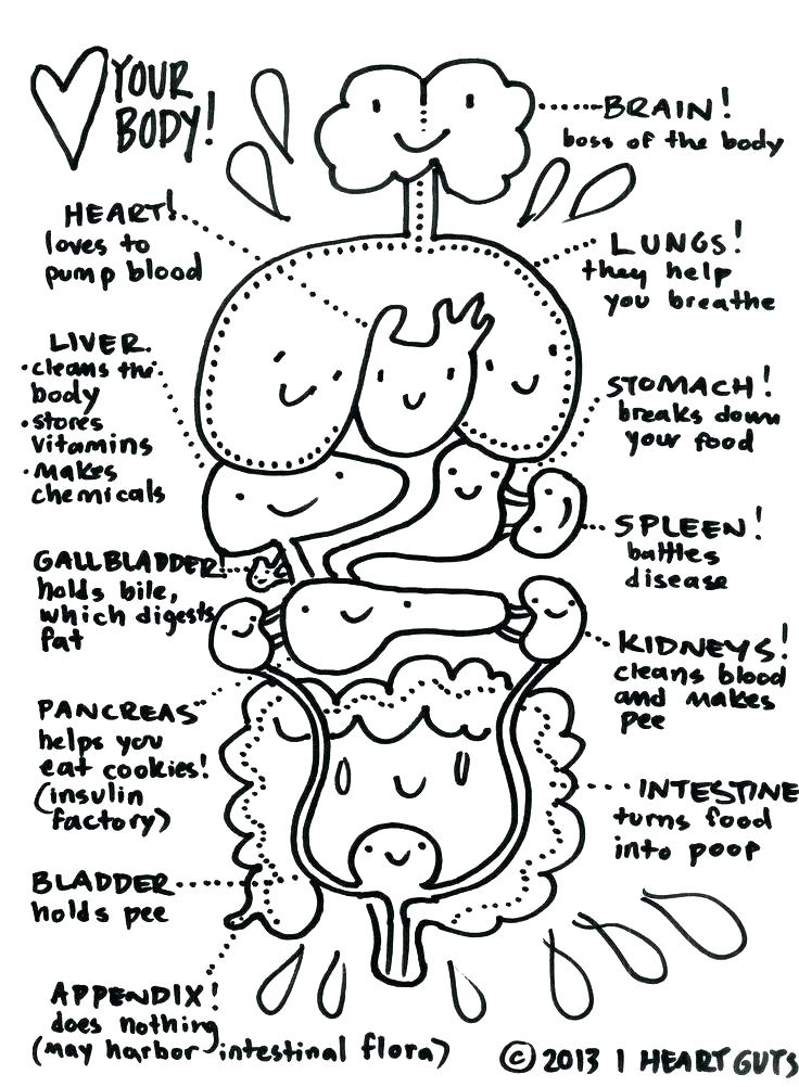 736x1002 Division Coloring Pages Division Coloring Pages Cell Page Pin By