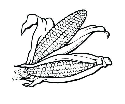 500x416 Healthy Food Coloring Pages Food Pyramid With Healthy And Fresh